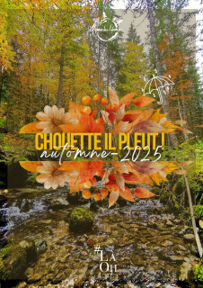 Chouette il pleut automne 2025