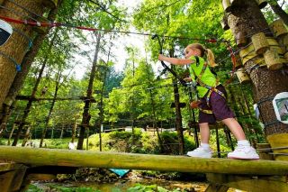 Treetop adventure