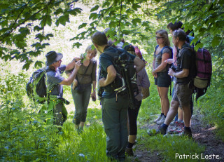 Accompagnateurs en montagne et guides de haute montagne