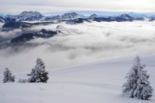 Panoramic views