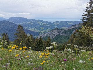 S&eacute;jours printemps &agrave; la montagne
