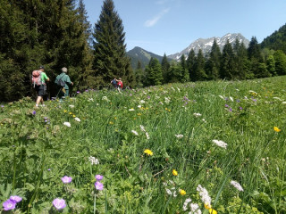 S&eacute;jours rando en montagne