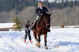 Ski et luge joëring