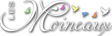 logo-les-moineaux-1981