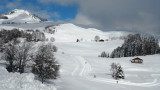 Pratique du ski de fond sur le Plateau de Plaine Joux, les Brasses, avec la Pointe de Miribel au fond