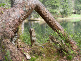 Lac de Petetoz