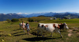 Tour de Miribel