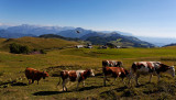 Tour de Miribel