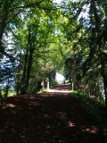 Montée à la chapelle par le calvaire