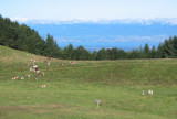 Vue sur l'alpage et le lac