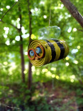 Une Abeille