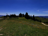 img_20200707_151231.jpg