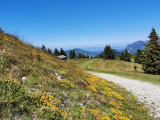 Depuis le sommet du télésiège