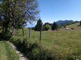 photo-prestataire