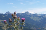 Vue haute pointe
