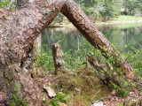 Lac de Petetoz
