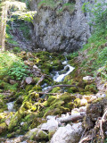 Source du Brevon