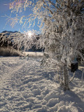 Snowshoeing itinerary 