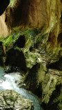 dsc03710.jpg