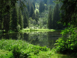 Circuit trail Source du Brevon Petetoz