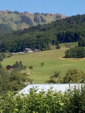 Brioche et Baldaquin