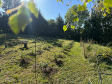 champ de culture des plantes