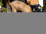 photo-prestataire