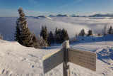 La Pointe de Miribel