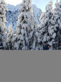 photo-prestataire
