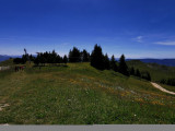 img_20200707_151231.jpg