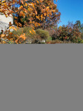 Jardin Alpin