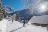 Ski au milieu des sapins - © Yvan Tisseyre / OT Vallée d'Aulps Ski au milieu des sapins
