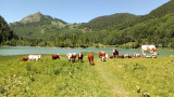 Lac de Vallon