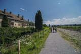 Géosite du château de Ripaille Géosite du château de Ripaille