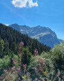 Vue sur le Roc d'Enfer en arrivant au sommet du Torchon Vue sur le Roc d'Enfer en arrivant au sommet du Torchon
