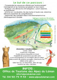 Secrets de Fées