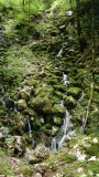 dsc03694.jpg
