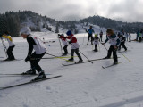 Cours de ski de fond