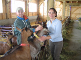la_ferme_des_moises_haberepoche la_ferme_des_moises_haberepoche