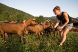 la_ferme_des_moises_haberepoche la_ferme_des_moises_haberepoche