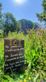 Jardin Alpin_Bellevaux Jardin Alpin_Bellevaux