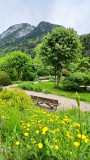 Jardin Alpin_Bellevaux Jardin Alpin_Bellevaux