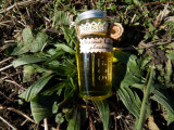 Formules et Potions_Onnion