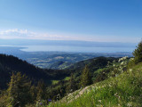Mont Forchat_Habère-Poche