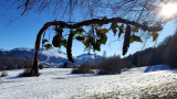 Christmas trail_Habère-Poche