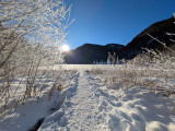 Les Mouilles snowshoe/nordic ski itinerary_Bellevaux