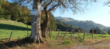 Parcours VTT des Granges Vigny_Habère-Poche