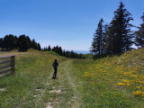 Randonnée estivale - © OT Alpes du Léman Randonnée estivale