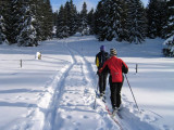 Col des Moises-Col du Feu Nordic Trek_Habère-Poche