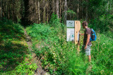 Géosite de la forêt ivre à Vailly